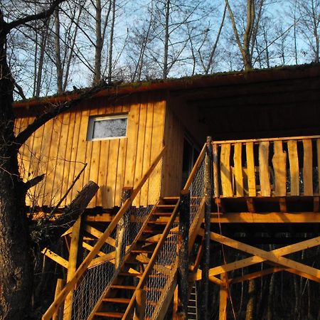 Cabane des cerfs Allons  Extérieur photo