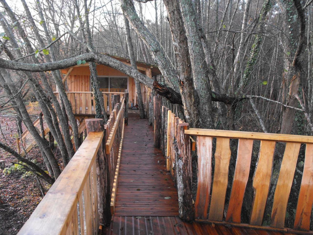 Cabane des cerfs Allons  Extérieur photo